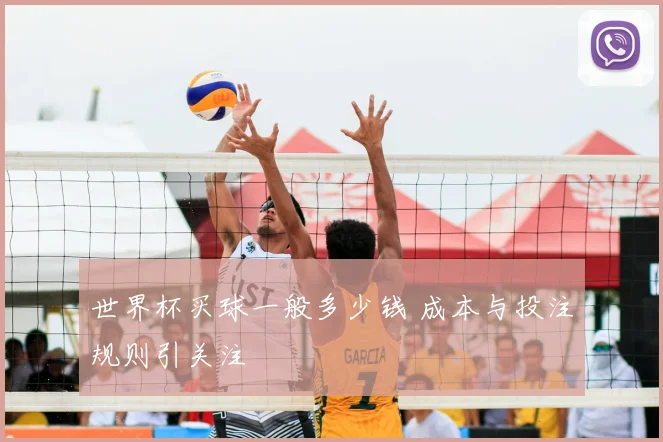 世界杯买球一般多少钱 成本与投注规则引关注