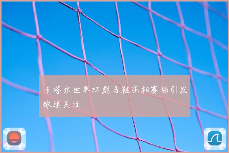 卡塔尔世界杯彪马鞋亮相赛场引发球迷关注